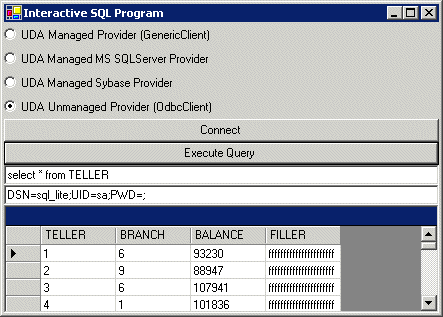 Unmanaged .Net Data Provider test connection